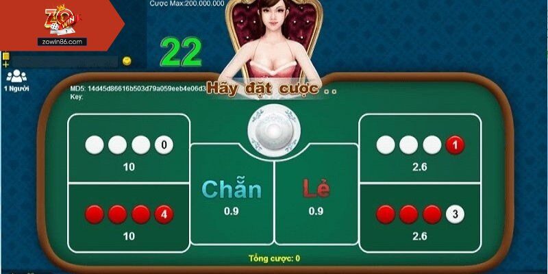 Tổng quan sơ lược về xóc đĩa